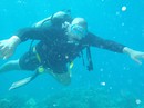 St John USVI Scuba diving and Snorkeling